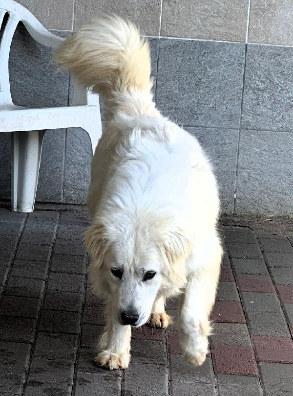 CHIARA MAREMMANA Foto 10